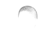 Female Hairstyle 8