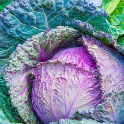 B-COMPLEX VITAMINS DEFICIENCY - Symptoms, Causes, Risk Factors, Complications, Natural Treatment And Foods Rich In B-Complex Vitamins