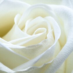 BEST ANTI-AGING NUTRIENTS FOR YOUNGER SKIN – A Complete Guide to Vitamins, Minerals and Skin Nutrition From the Inside Out BEST ANTI-AGING NUTRIENTS FOR YOUNGER SKIN – A Complete Guide to Vitamins, Minerals and Skin Nutrition From the Inside Out