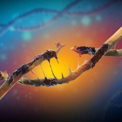 OXIDATIVE STRESS - Symptoms, Causes, Complication, And Foods To Fight Oxidative Stress Naturally