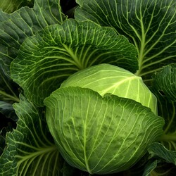 MAGNESIUM - Health Benefits, Deficiency, Magnesium Rich-Foods And Guide to Best Forms of Magnesium MAGNESIUM - Health Benefits, Deficiency, Magnesium Rich-Foods And Guide to Best Forms of Magnesium