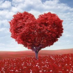 GOOD (HDL) CHOLESTEROL AND BAD (LDL) CHOLESTEROL – What is The Difference Between HDL and LDL Cholesterol and 9 Tips To Lower Your Bad Cholesterol Naturally